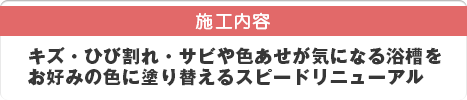 施工内容：キズ・ひび割れ・サビや色あせが気になる浴槽をお好みの色に塗り替えるスピードリニューアル